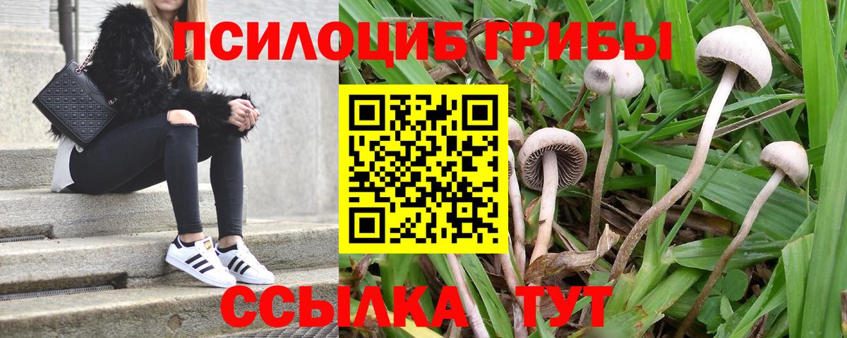 Галлюциногенные грибы Psilocybine cubensis  Галлюциногенные грибы ЛСД  Вход с VPN  купить наркоту  Котлас 